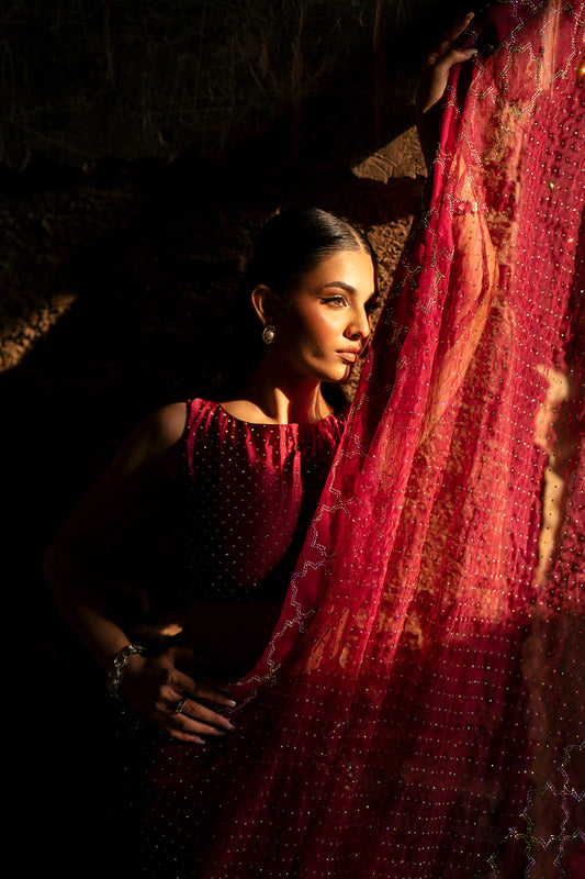 SF-260 | Medium Organza 2Pcs Saree | Luxury Formal