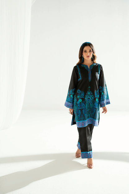 SF 240 | 2Pcs Printed - Pure Lawn |  Ready to Wear