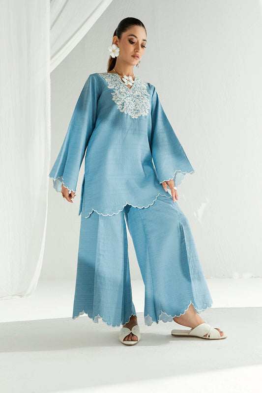 SF 244 | 2Pcs Embroidered - Pure Lawn |  Ready to Wear