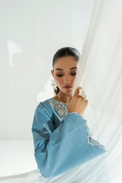 SF 244 | 2Pcs Embroidered - Pure Lawn |  Ready to Wear