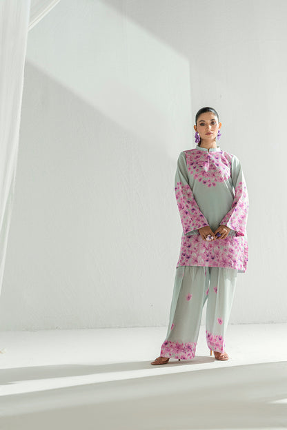 SF 249 | 2Pcs Printed - Pure Lawn |  Ready to Wear
