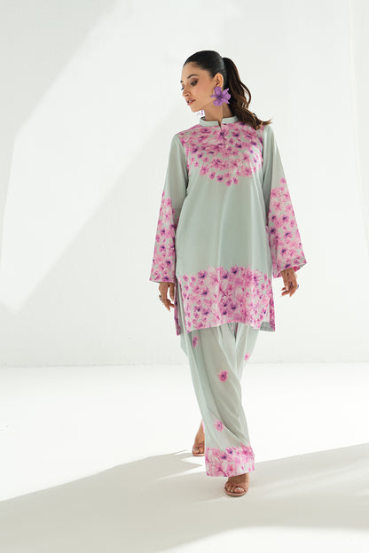 SF 249 | 2Pcs Printed - Pure Lawn |  Ready to Wear
