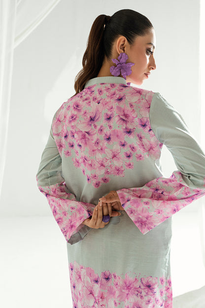 SF 249 | 2Pcs Printed - Pure Lawn |  Ready to Wear