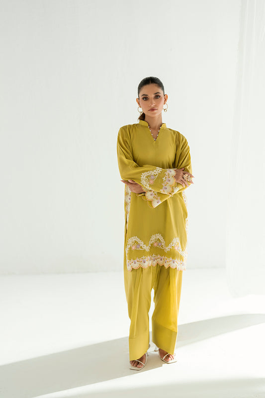 SF 245 | 2Pcs Embroidered - Pure Lawn |  Ready to Wear