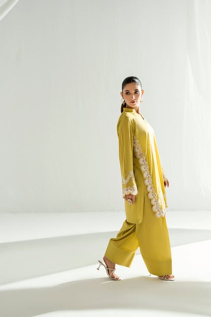SF 245 | 2Pcs Embroidered - Pure Lawn |  Ready to Wear