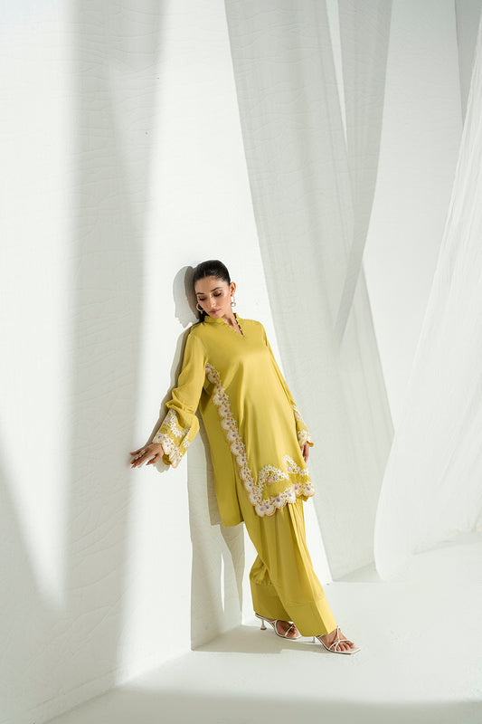 SF 245 | 2Pcs Embroidered - Pure Lawn |  Ready to Wear