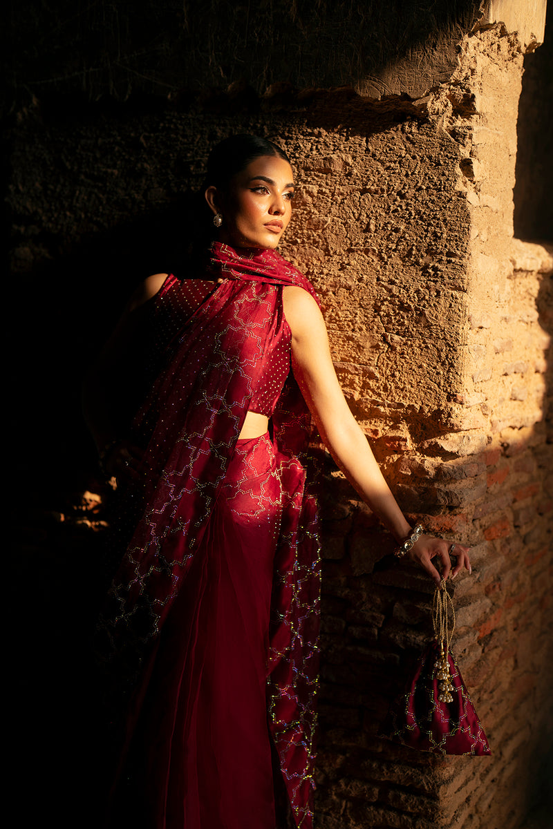 SF-260 | Medium Organza 2Pcs Saree | Luxury Formal