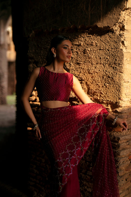 SF-260 | Medium Organza 2Pcs Saree | Luxury Formal