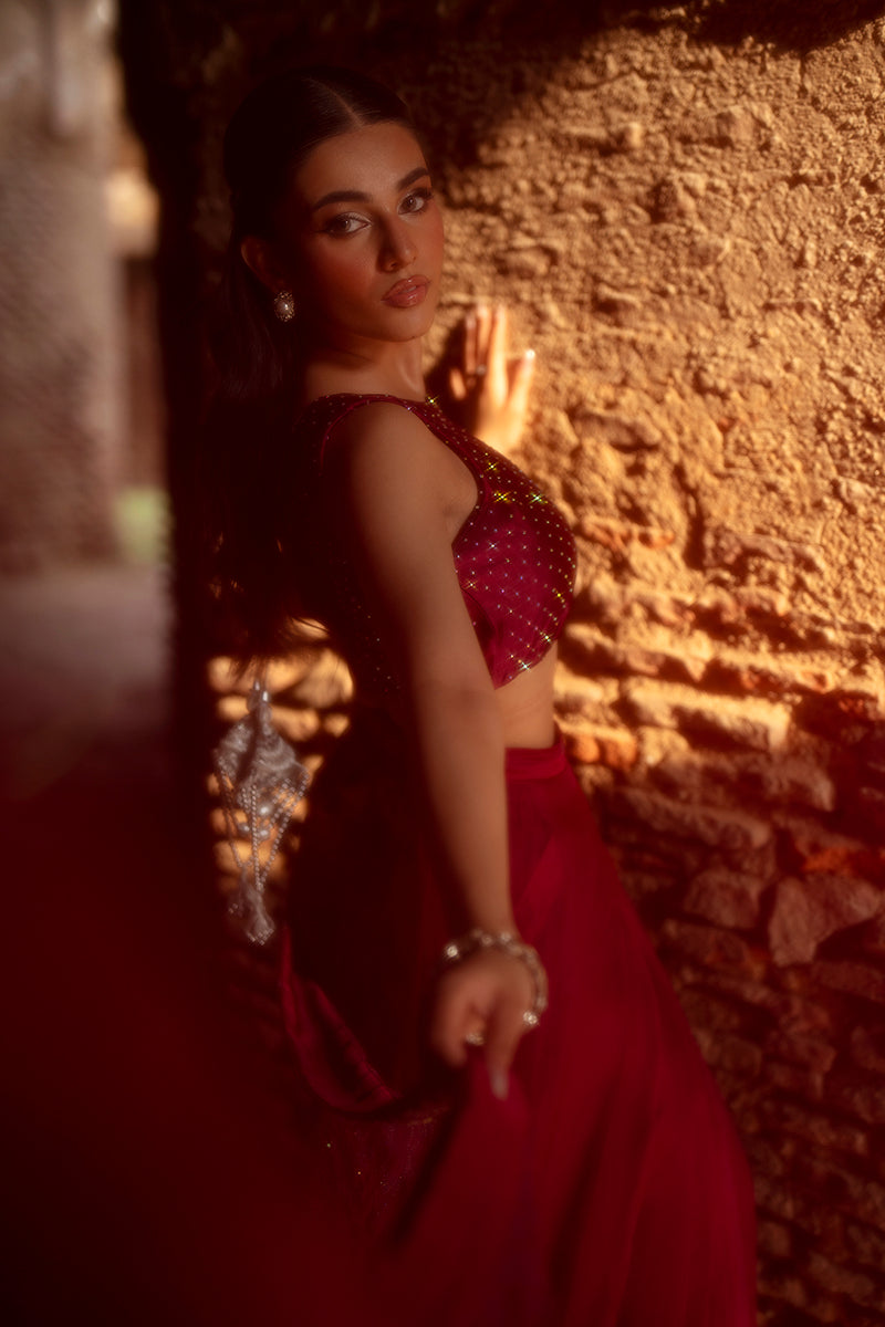 SF-260 | Medium Organza 2Pcs Saree | Luxury Formal