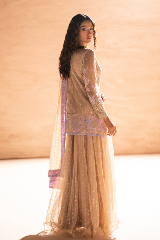 SF - 377 | Noor