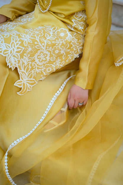 SF-237  | 3Pcs - Silk  (Ready to Wear Festive )